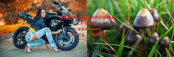 наркотики Медногорск