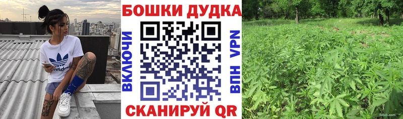 Купить закладки  Киров  Каннабис SATIVA & INDICA 